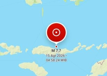 Gempa M7,7 Guncang Nagekeo, BNPB Laporkan Dua Korban Meninggal di Sikka