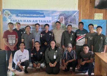 Dari Kolam Ikan ke Kandang Maggot, Ikhtiar Mas Muda Krayan Membangun Kemandirian