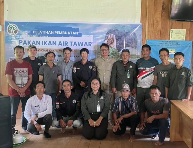 Dari Kolam Ikan ke Kandang Maggot, Ikhtiar Mas Muda Krayan Membangun Kemandirian