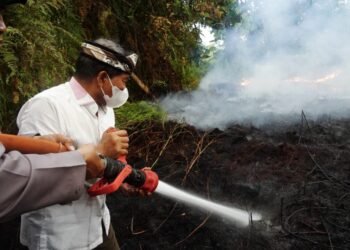 Karhutla Kaltara Masih Terendah, Pemerintah Tak Mau Lengah