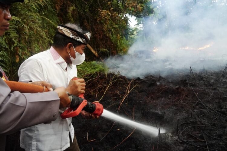 Karhutla Kaltara Masih Terendah, Pemerintah Tak Mau Lengah