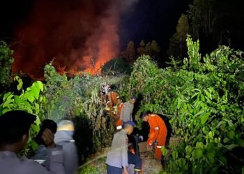 Cegah Karhutla, BPBD Nunukan Minta Warga Tinggalkan Cara Bakar Lahan