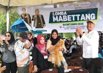 Bukan Sekadar Lomba, Mabettang Jadi Penghormatan untuk Mama-Mama Pembudidaya Rumput Laut Nunukan