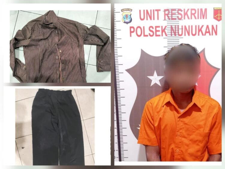 Kasus Dugaan Persetubuhan Anak di Nunukan Terungkap Setelah Korban Diketahui Hamil